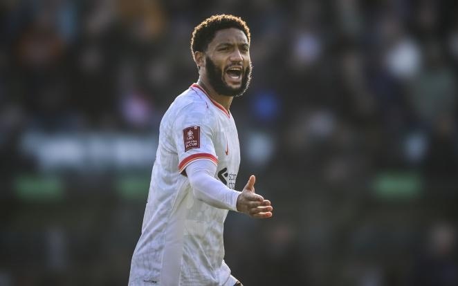 亚历山大 亚历山大